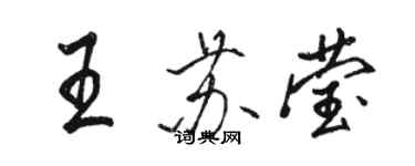 駱恆光王蘇瑩行書個性簽名怎么寫