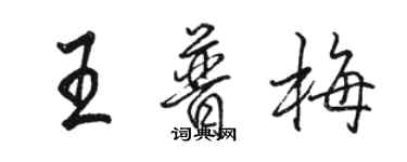 駱恆光王普梅行書個性簽名怎么寫