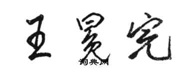 駱恆光王冕完行書個性簽名怎么寫