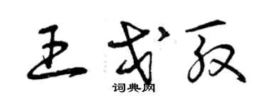 曾慶福王戈殷草書個性簽名怎么寫