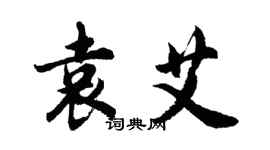 胡問遂袁艾行書個性簽名怎么寫