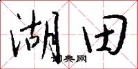 湖田怎么寫好看