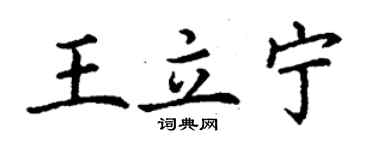 丁謙王立寧楷書個性簽名怎么寫