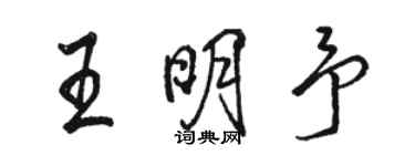 駱恆光王明予行書個性簽名怎么寫