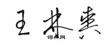 駱恆光王林爽草書個性簽名怎么寫