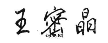 駱恆光王密晶行書個性簽名怎么寫