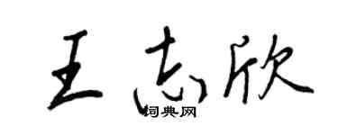 王正良王志欣行書個性簽名怎么寫