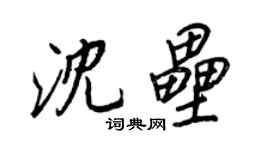 王正良沈壘行書個性簽名怎么寫