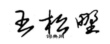 朱錫榮王松野草書個性簽名怎么寫