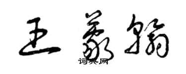 曾慶福王蒙翰草書個性簽名怎么寫