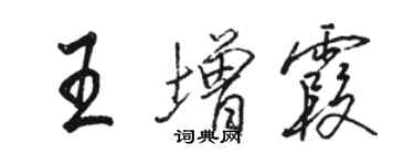 駱恆光王增霞行書個性簽名怎么寫