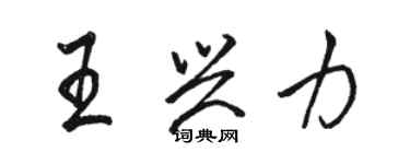 駱恆光王興力行書個性簽名怎么寫