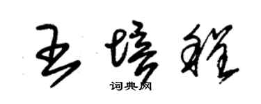 朱錫榮王培程草書個性簽名怎么寫