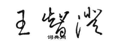 駱恆光王智澄草書個性簽名怎么寫