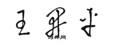 駱恆光王開平草書個性簽名怎么寫