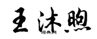 胡問遂王沐煦行書個性簽名怎么寫