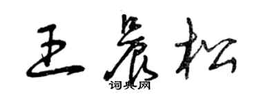 曾慶福王晨松草書個性簽名怎么寫