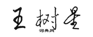 駱恆光王樹星行書個性簽名怎么寫