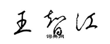 梁錦英王智江草書個性簽名怎么寫