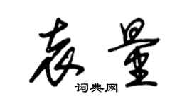 朱錫榮袁量草書個性簽名怎么寫