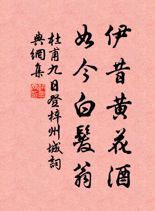 縱橫皆釣者，何處得嘉魚 詩詞名句