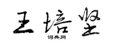 曾慶福王培堅行書個性簽名怎么寫