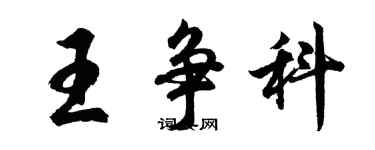 胡問遂王爭科行書個性簽名怎么寫