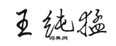 駱恆光王純猛行書個性簽名怎么寫