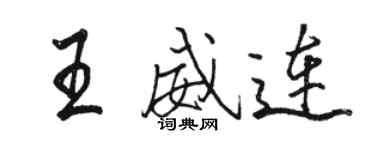 駱恆光王威連行書個性簽名怎么寫