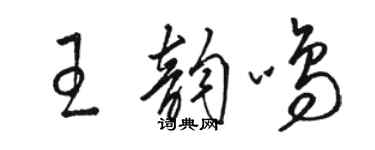 駱恆光王韻鳴草書個性簽名怎么寫