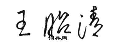 駱恆光王昭清草書個性簽名怎么寫