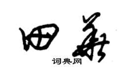 朱錫榮田華草書個性簽名怎么寫