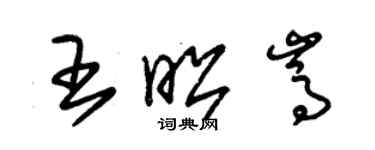 朱錫榮王昭嵩草書個性簽名怎么寫