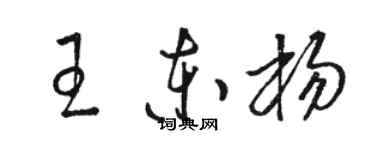 駱恆光王東楊草書個性簽名怎么寫