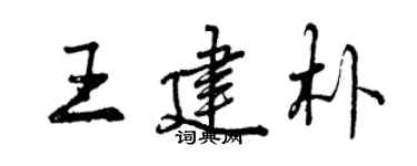 曾慶福王建朴行書個性簽名怎么寫