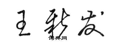 駱恆光王新發草書個性簽名怎么寫