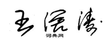 朱錫榮王闊濤草書個性簽名怎么寫