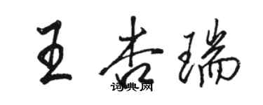 駱恆光王杏瑞行書個性簽名怎么寫