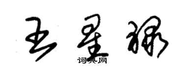 朱錫榮王星祿草書個性簽名怎么寫