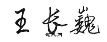駱恆光王長巍行書個性簽名怎么寫