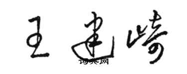 駱恆光王建崎草書個性簽名怎么寫