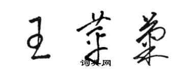 駱恆光王苹菊草書個性簽名怎么寫