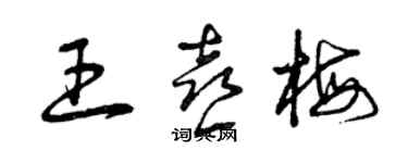 曾慶福王喜梅草書個性簽名怎么寫