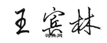 駱恆光王賓林行書個性簽名怎么寫