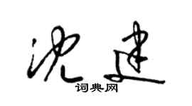 梁錦英沈建草書個性簽名怎么寫