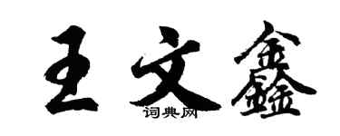 胡問遂王文鑫行書個性簽名怎么寫
