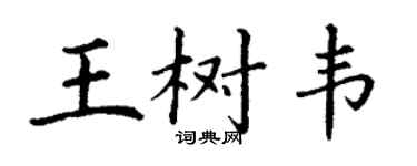 丁謙王樹韋楷書個性簽名怎么寫