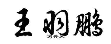 胡問遂王羽鵬行書個性簽名怎么寫