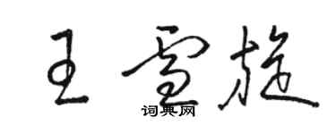 駱恆光王雪旋草書個性簽名怎么寫