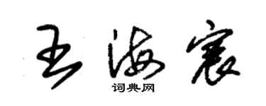 朱錫榮王海宸草書個性簽名怎么寫